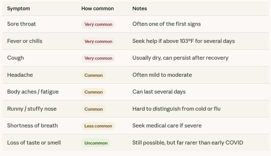 Cicada Covid Symptoms
